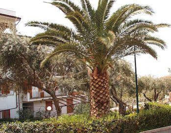 Residence L'uliveto Gioiosa Marea Esterno foto